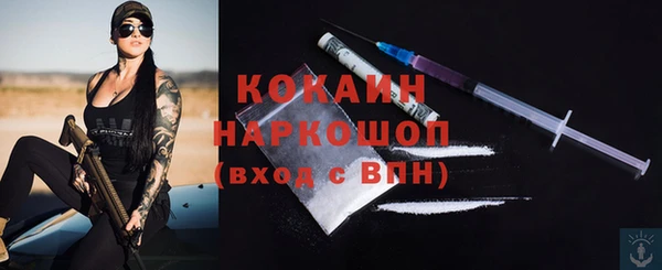 PSILOCYBIN Михайлов