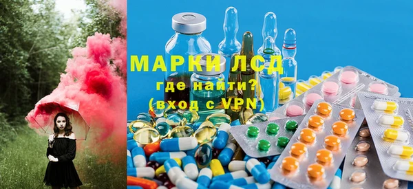PSILOCYBIN Михайлов