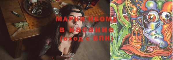 PSILOCYBIN Михайлов
