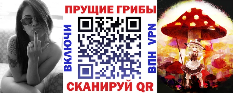 Купить  Серпухов  Псилоцибиновые грибы Psilocybine cubensis 